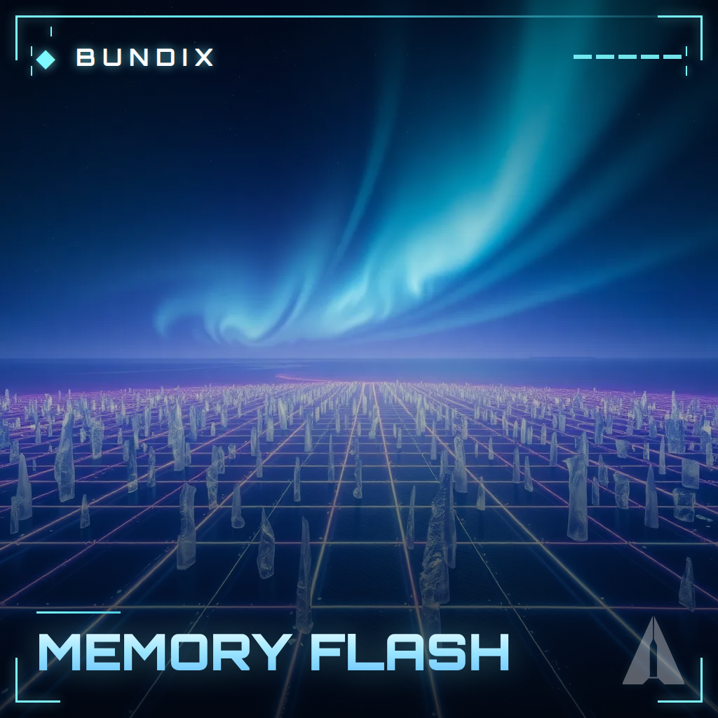Memory Flash